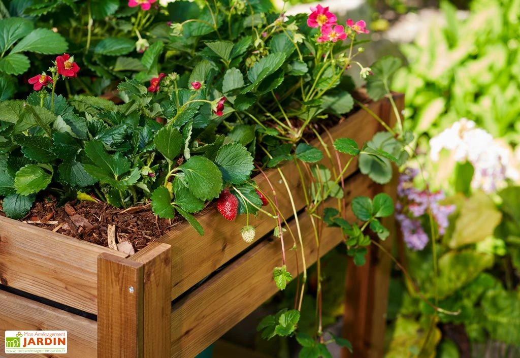 Carré Potager Sur Pieds En Bois Autoclave Brun - 75 X 75 X 79 Cm 4 Carré Potager Sur Pieds En Bois Autoclave Brun - 75 X 75 X 79 Cm – Image 4