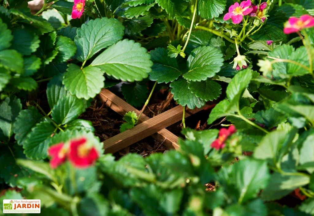 Carré Potager Sur Pieds En Bois Autoclave Brun - 75 X 75 X 79 Cm 5 Carré Potager Sur Pieds En Bois Autoclave Brun - 75 X 75 X 79 Cm – Image 5