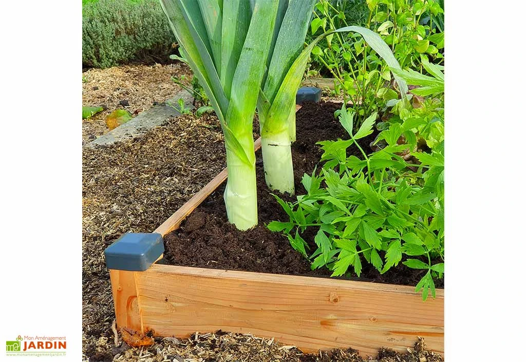 Carré Potager En Bois Douglas Non Traité Premium – 73 L 2 Carré Potager En Bois Douglas Non Traité Premium – 73 L – Image 2