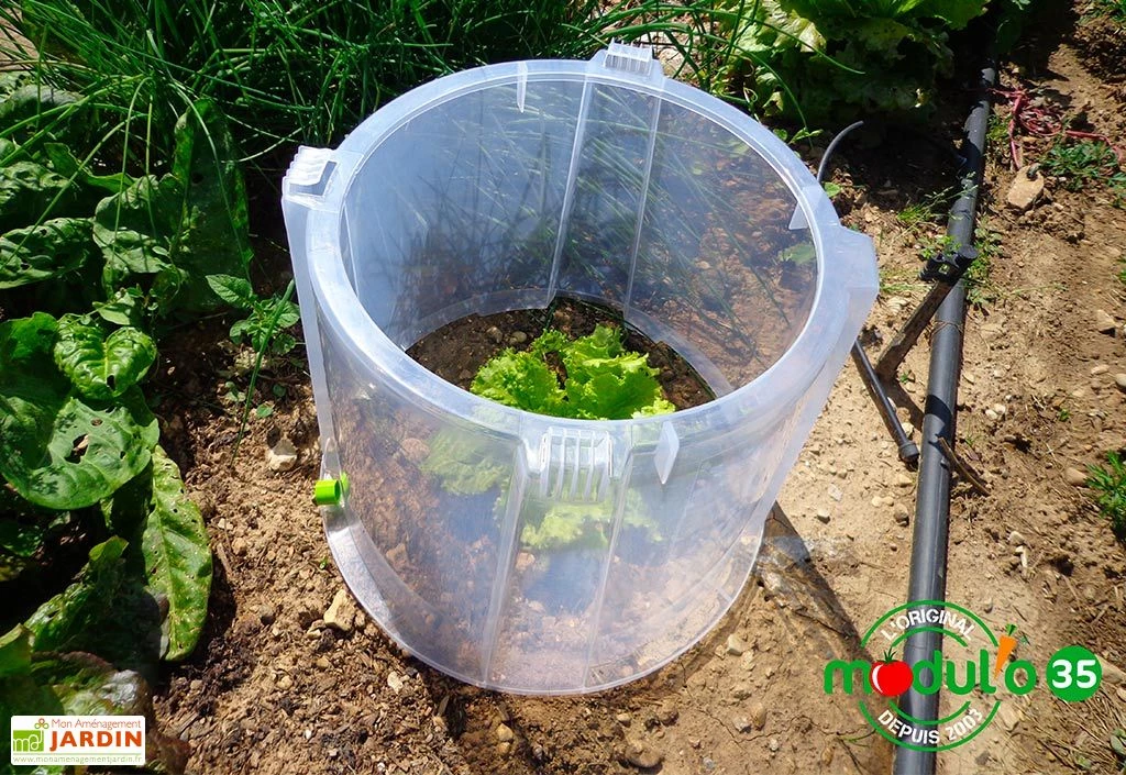 Rehausse Pour Cloche Potagère à Forcer Modulo ø35 Cm (lot De 3) 3 Rehausse Pour Cloche Potagère à Forcer Modulo ø35 Cm (lot De 3) – Image 3