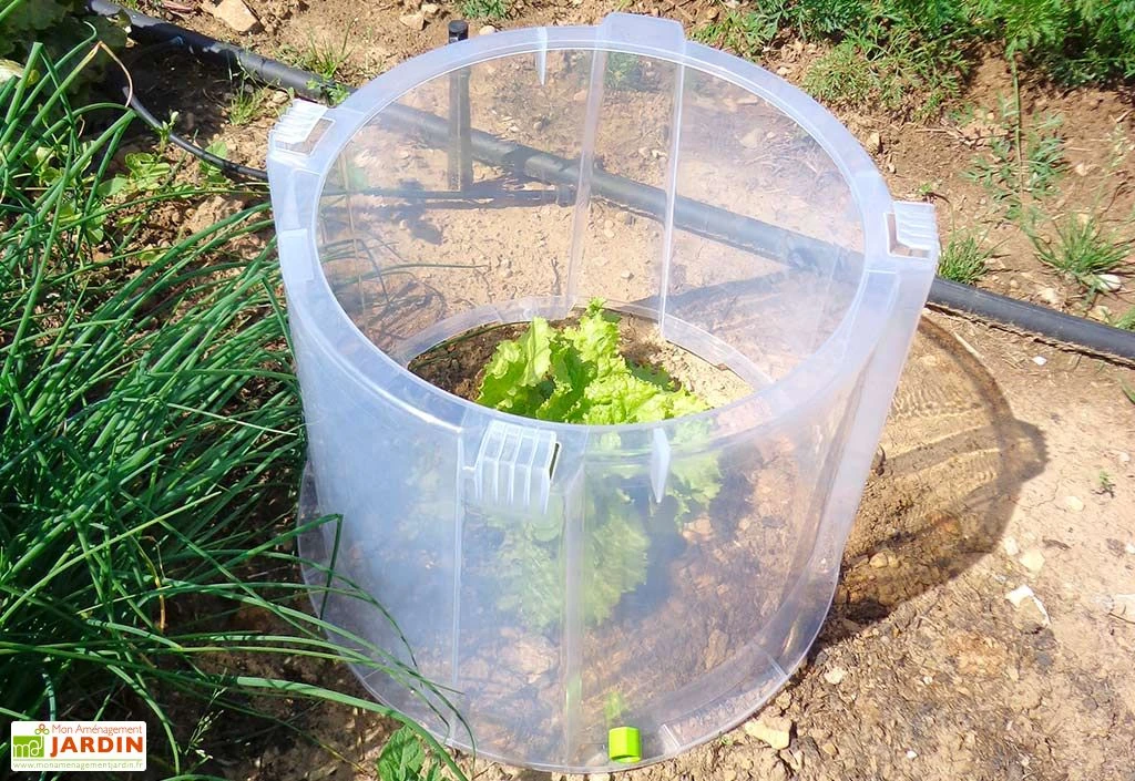 Rehausse Pour Cloche Potagère à Forcer Modulo ø35 Cm (lot De 3) 1 Rehausse Pour Cloche Potagère à Forcer Modulo ø35 Cm (lot De 3)