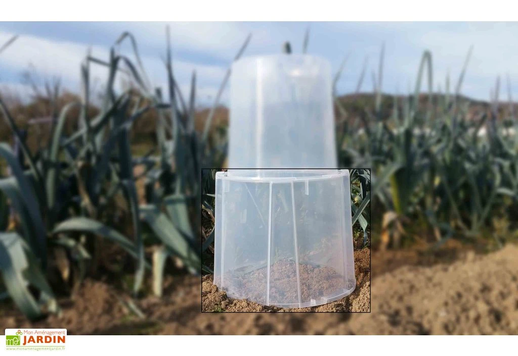 Rehausse Pour Cloche Potagère à Forcer Modulo ø35 Cm (lot De 3) 5 Rehausse Pour Cloche Potagère à Forcer Modulo ø35 Cm (lot De 3) – Image 5