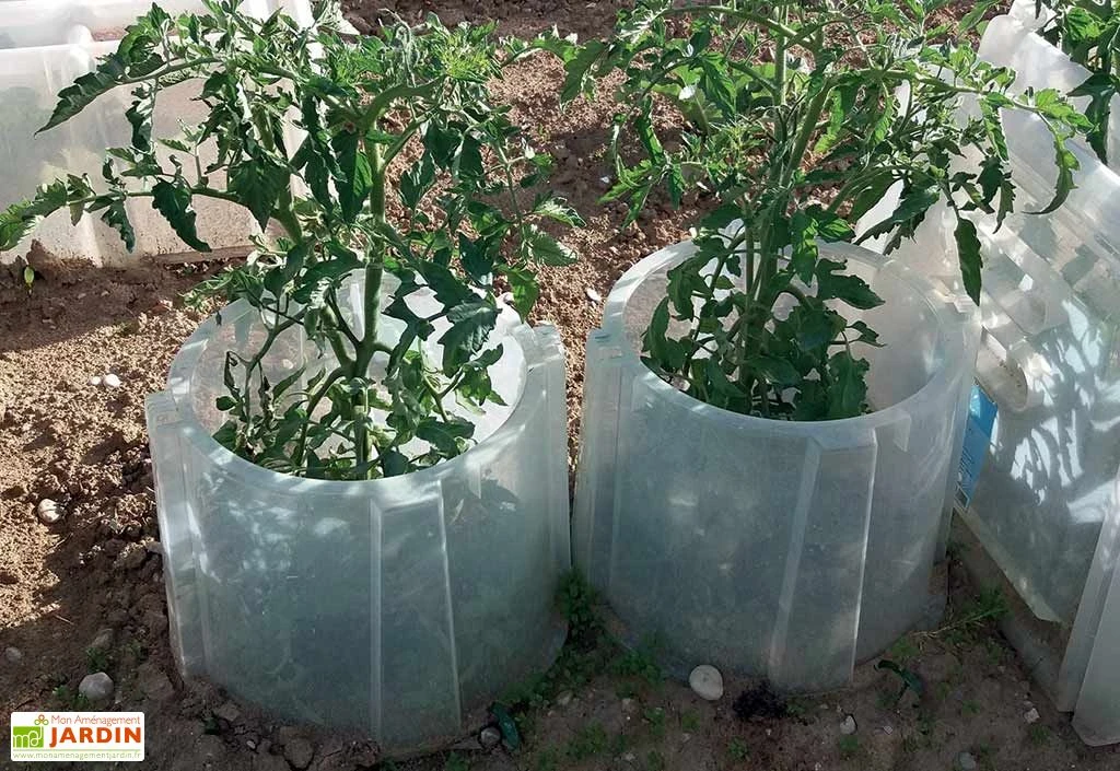 Rehausse Pour Cloche Potagère à Forcer Modulo ø35 Cm (lot De 3) 2 Rehausse Pour Cloche Potagère à Forcer Modulo ø35 Cm (lot De 3) – Image 2