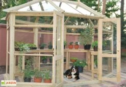 Serre De Jardin Épicéa Traité Et Verre Trempé 365x270x300cm