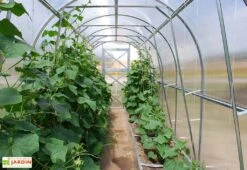 Serre De Jardin Tunnel En Polycarbonate Et Acier -Abriet Mobilier Soldes Boutique serre jardin tunnel interieur