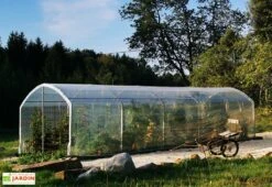 Serre à Tomate En Acier Et Polyéthylène Tonneau