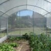 Serre Tunnel Tonneau En Polyéthylène 27 M² - 4 Saisons 9 X 3 M