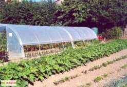 Serre Tunnel Tonneau En Polyéthylène 44 M² - Mini 12 X 3,7 M