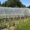 Serre Tunnel Tonneau En Polyéthylène 39 M² - Mini 10,5 X 3,7 M