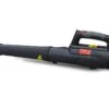 Souffleur à Feuilles Électrique Sans Fil Batterie Lithium 20 V