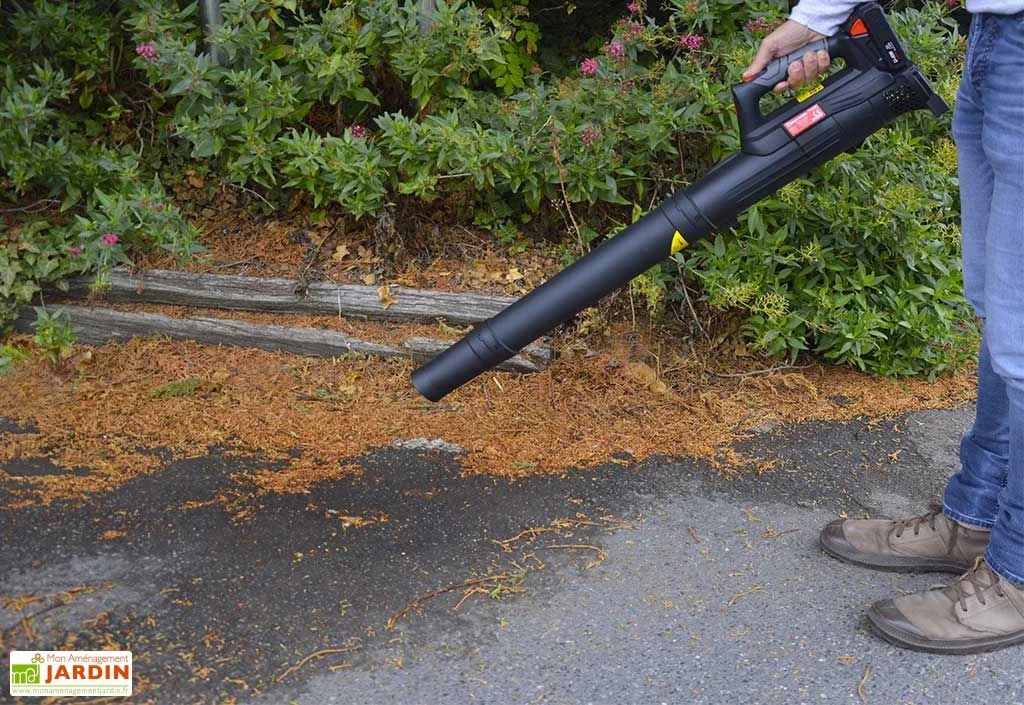 Souffleur à Feuilles Électrique Sans Fil Batterie Lithium 20 V 2 Souffleur à Feuilles Électrique Sans Fil Batterie Lithium 20 V – Image 2