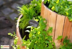 Spirale Aromatique – Jardinière En Bois De Mélèze Ø55 Cm 8 Spirale Aromatique – Jardinière En Bois De Mélèze Ø55 Cm -Abriet Mobilier Soldes Boutique spirale aromatique jardiniere bois 55cm