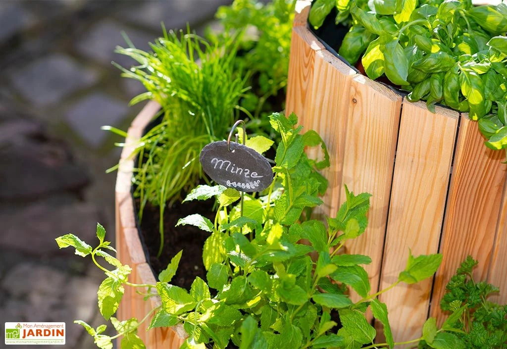 Spirale Aromatique – Jardinière En Bois De Mélèze Ø55 Cm 3 Spirale Aromatique – Jardinière En Bois De Mélèze Ø55 Cm – Image 3