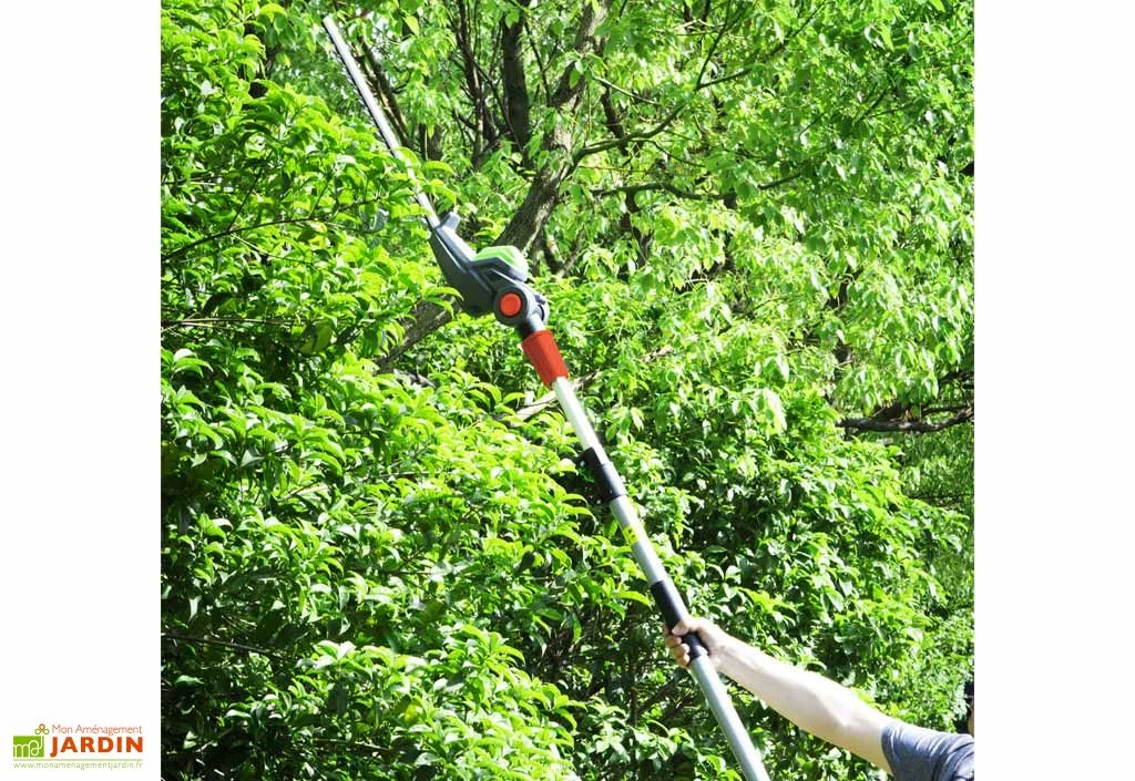 Taille Haie Sur Perche Sans Fil PowerShared 20V - Sans Batterie 5 Taille Haie Sur Perche Sans Fil PowerShared 20V - Sans Batterie – Image 5