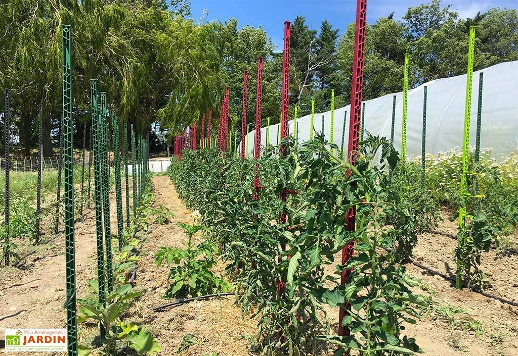 Tuteur Avec Attaches Mikado Vert Foncé 150 Cm (Lot De 6) 2 Tuteur Avec Attaches Mikado Vert Foncé 150 Cm (Lot De 6) – Image 2