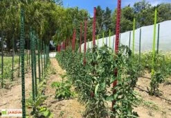 Tuteur Avec Attaches Mikado Anthracite 150 Cm (Lot De 6) 5 Tuteur Avec Attaches Mikado Anthracite 150 Cm (Lot De 6) -Abriet Mobilier Soldes Boutique tuteurs tomates colores plastique 150cm 2